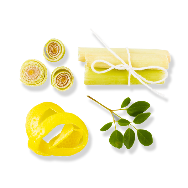 Organic Lemon Moringa Tea Leaves